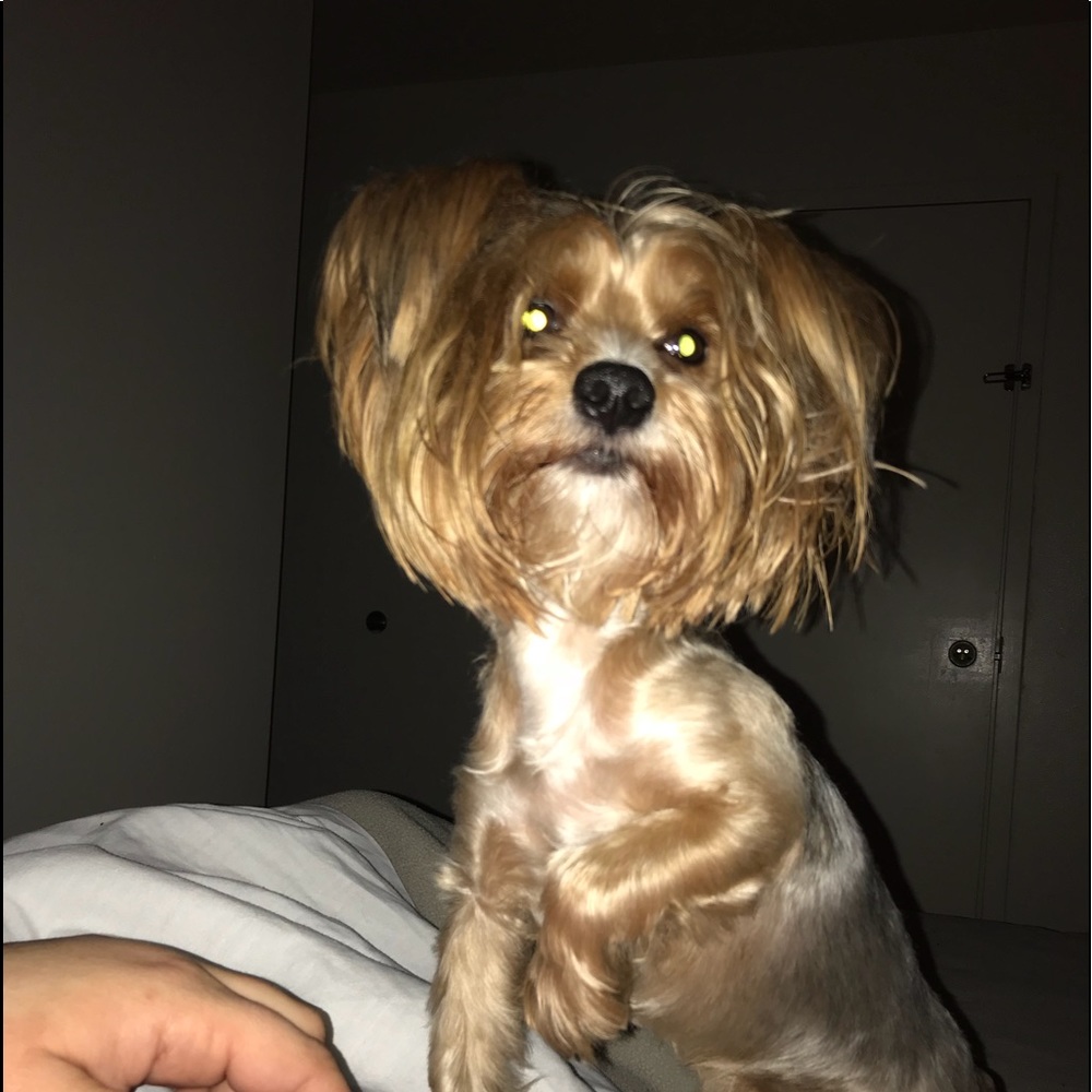 Meet your Posher, Valerian